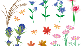 無料 かわいい秋の花 コスモス 菊 彼岸花 桔梗等 のイラスト かわいい無料イラスト イラストの描き方