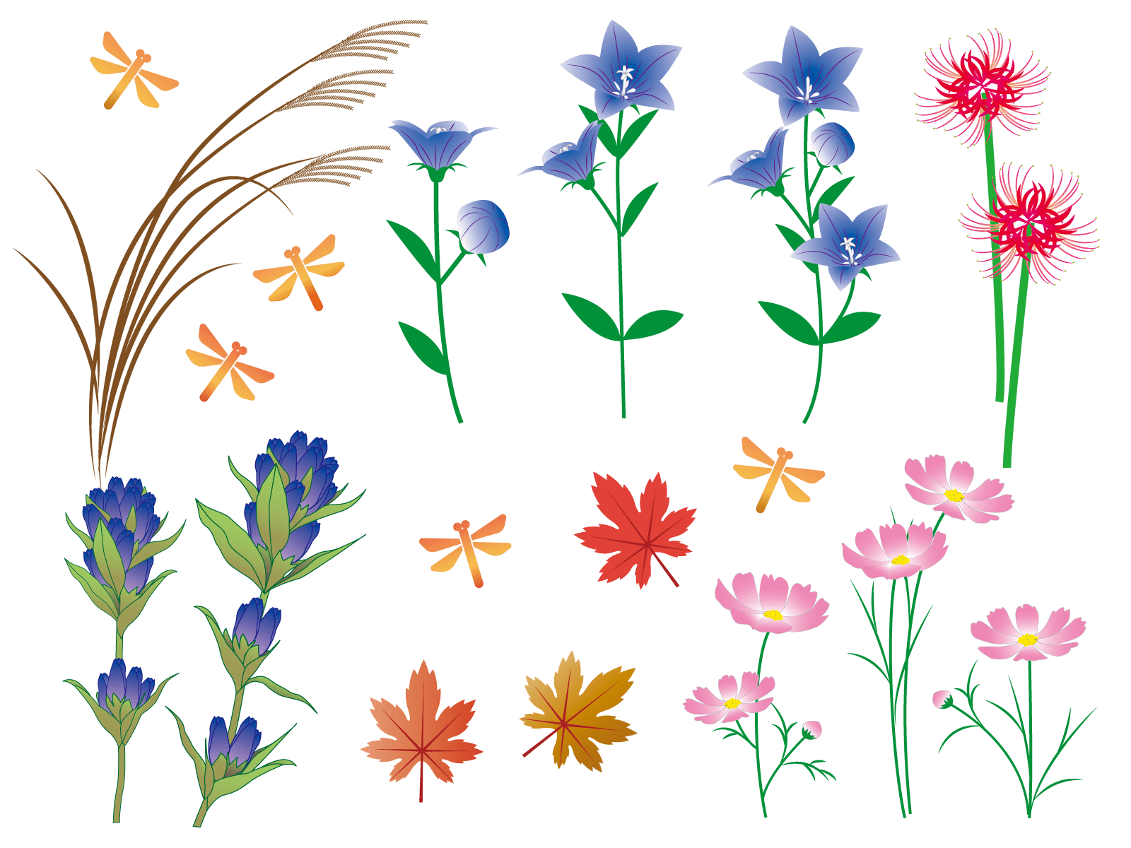コンパニオン 繁雑 恒久的 秋 の 花 かわいい イラスト Motherplanet Jp