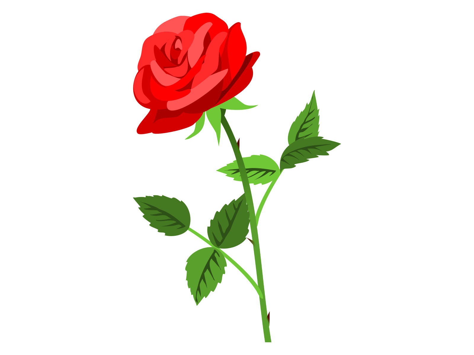 無料 バラ 薔薇 の花イラスト 母の日 誕生日 お祝いにも使えます かわいい無料イラスト イラストの描き方